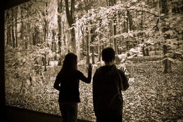 How Emotional Connections Can Trigger Creativity and Learning ow.ly/stKA306uTCT #edchat