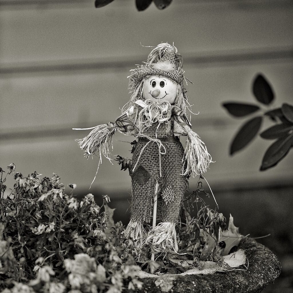 aricephoto's tweet photo. Straw garden Gnome... #aricephoto #nikon #nikond600 #blackandwhite #macphun #tonalitypro #… https://t.co/8VmAEbBGFi https://t.co/KcidwuSu2Z