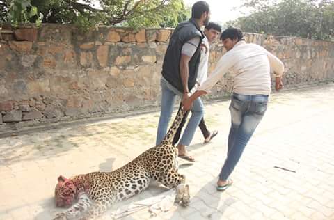 Save men's life tweet media