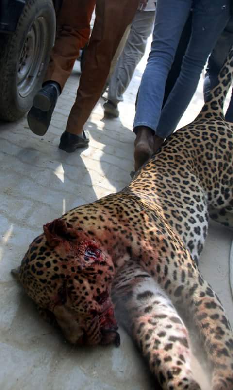 Save men's life tweet media