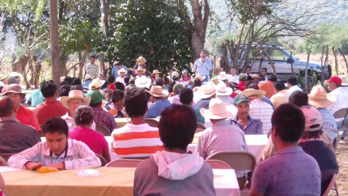 SalitoCabrera's tweet photo. @ACCIMMYT 
25/11/16. Intercambio de experiencias de las innovaciones implementadas por los productores en la región montaña y centro de Gro. https://t.co/lZtKBYaWyM