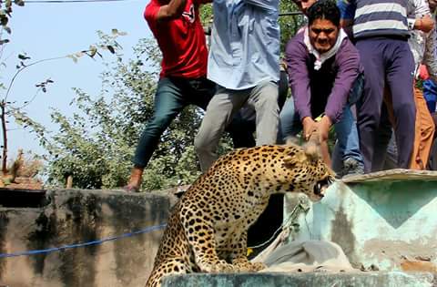 Save men's life tweet media