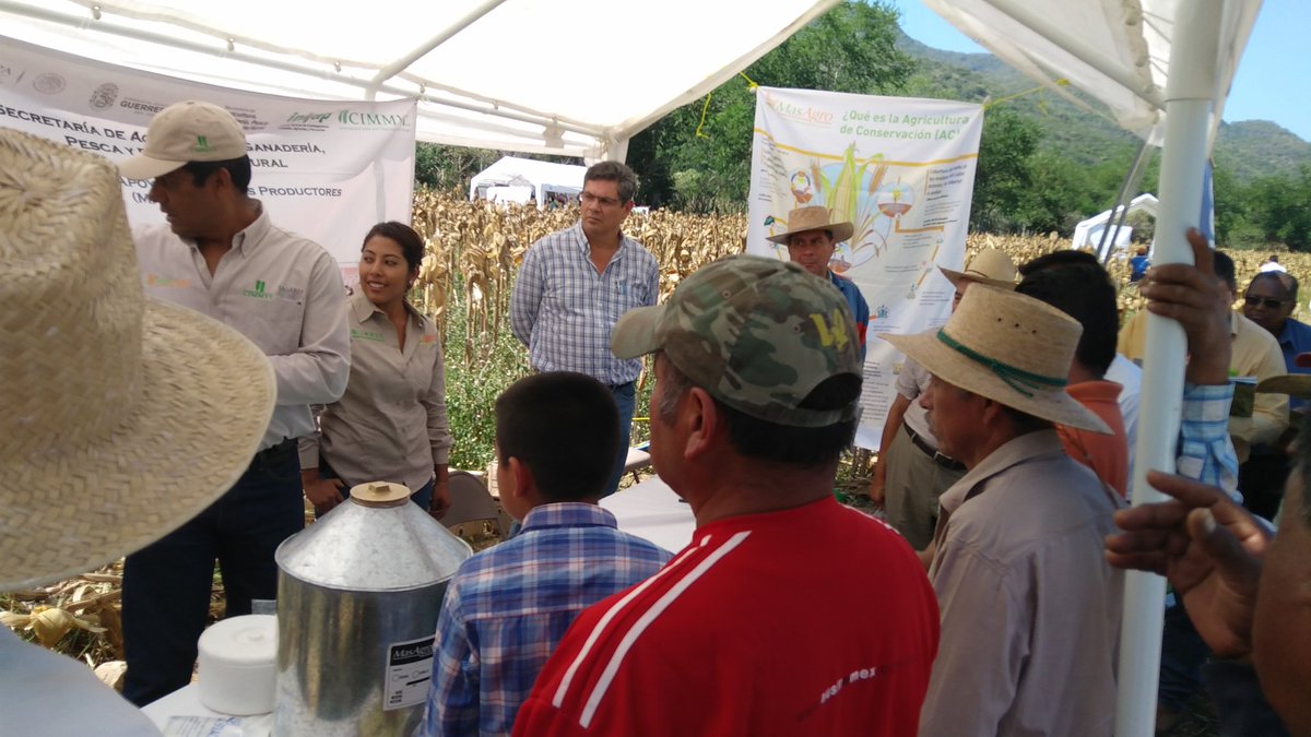 SalitoCabrera's tweet photo. @ACCIMMYT 
25/11/16. Intercambio de experiencias de las innovaciones implementadas por los productores en la región montaña y centro de Gro. https://t.co/lZtKBYaWyM