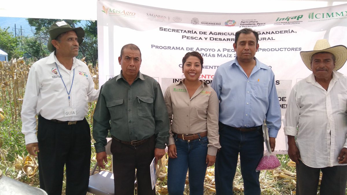 SalitoCabrera's tweet photo. @ACCIMMYT 
25/11/16. Intercambio de experiencias de las innovaciones implementadas por los productores en la región montaña y centro de Gro. https://t.co/lZtKBYaWyM