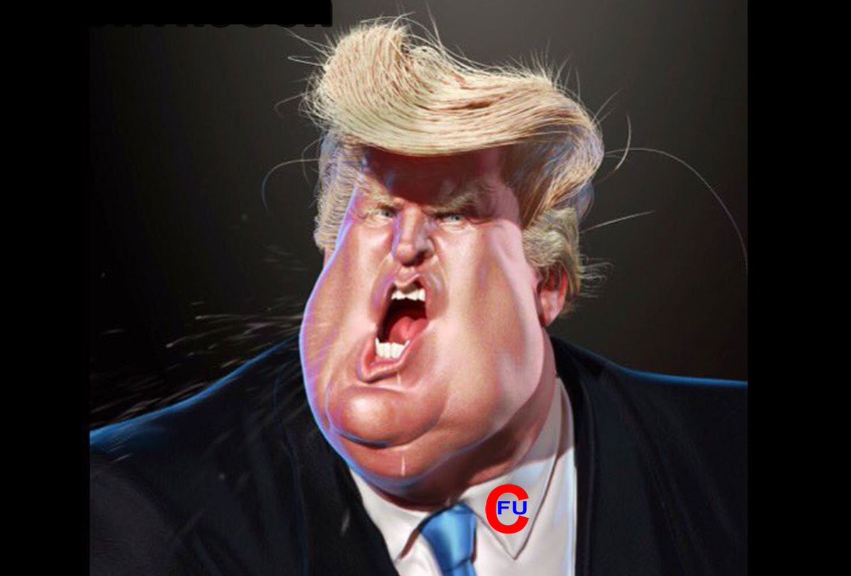 JohnRMoffitt's tweet photo. #LifeUnderTrump #TrumpPhoto #TrumpDoubleChin Consider using this if you want to be locked up by the #Trump Thought Police. Coming soon. https://t.co/W3JbId6hEu