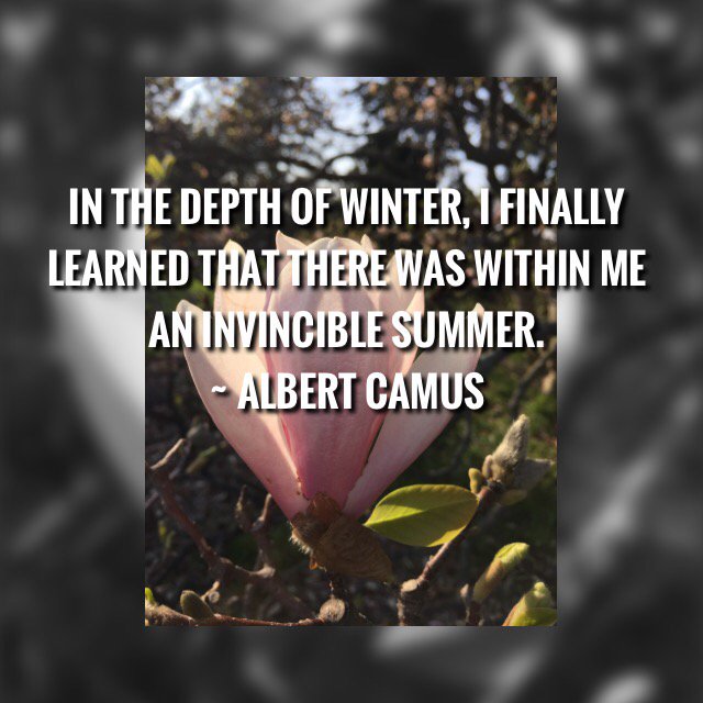 muz4now's tweet image. ... there is within me an invincible Summer.
— Albert Camus #quote #hope  v/ @lindafreeman_
