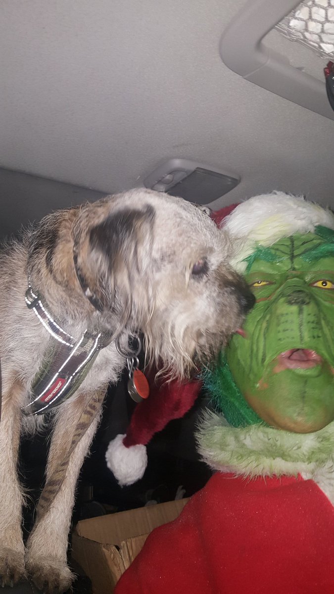 Grinch_And_Max's tweet photo. Grinch and max had a great time at the snowflake festival! #GetGrinchy @stalbertchamber https://t.co/ECvSdN4D8v
