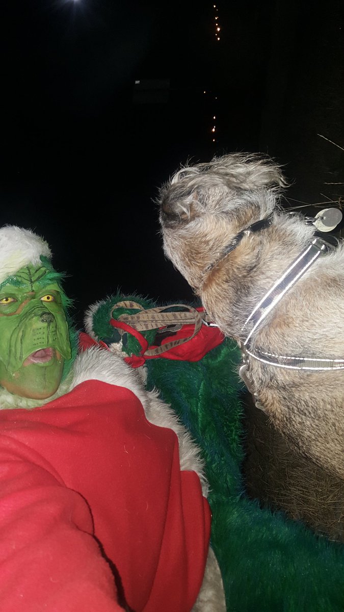 Grinch_And_Max's tweet photo. Grinch and max had a great time at the snowflake festival! #GetGrinchy @stalbertchamber https://t.co/ECvSdN4D8v