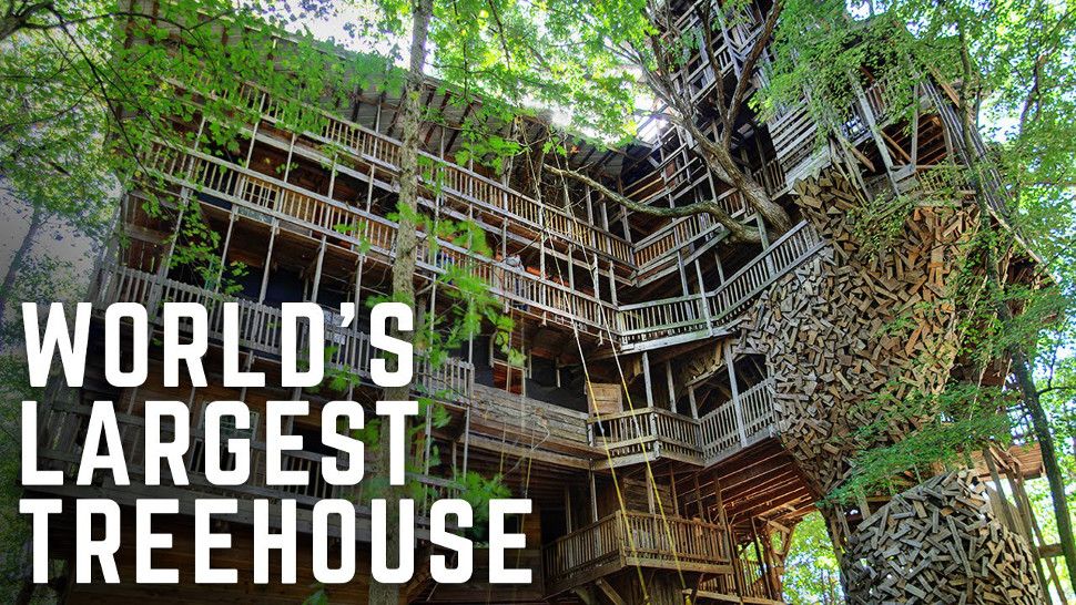 kimkomando's tweet photo. You have to see the world's #largesttreehouse before it's gone! #MinisterHouse https://t.co/4CJTJZ1sA1 https://t.co/nvJMZCGIxO