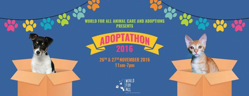 gigitofficial's tweet photo. Dear all! We are at adoptathon today! Come along and spend up day with our furry friends!! Details on Gig it, https://t.co/LGTlVnVYyM https://t.co/EOPVY9h19t