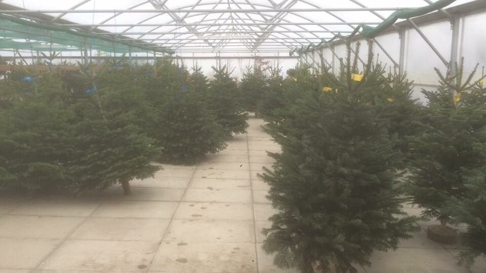 ElmTreeFarm2 tweet picture