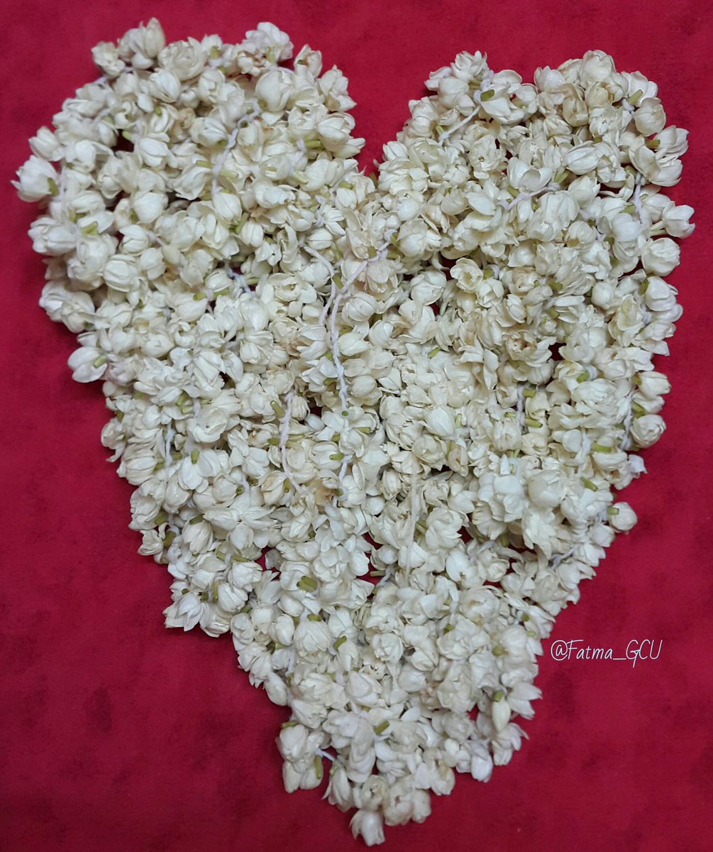 Fatma_GCU's tweet photo. 🌼🌼
🌼إن الله يعلم القلب النقي
ويسمع الصوت الخفي
فإذا قلت يارب
فإما أن يلبي لك النداء
أو يرفع عنك البلاء.

🌼صباح الياسمين🌼 https://t.co/7PzTEGgeeW
