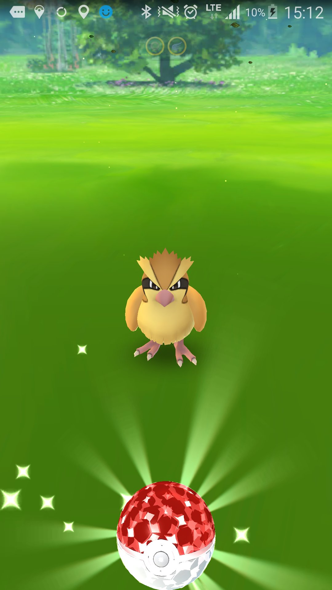 ぺぺ ポケモンgo Pepeuooo Twitter