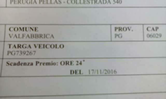 Carlo Collesi tweet media