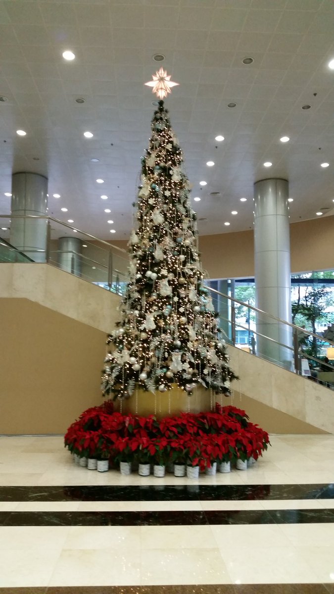 gametime671's tweet photo. can't wait to get home &amp; decorate! #RilTalk https://t.co/Jn7Fbk5ajA