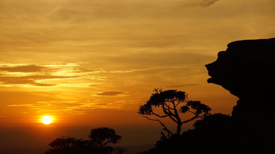 pousadarcoiris's tweet photo. Bom dia 
O sol alimentando a terra 
Amanhecer de 26 de novembro em São Thomé das Letras
https://t.co/d8XBGTfURt https://t.co/vXt5mQiZF6