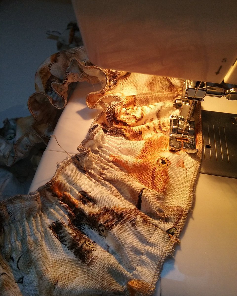 trulyknickers's tweet photo. It's #caturday again-so sewing some more Cats Knickers for the shop. Buy in store or order online https://t.co/QXl3CVq1lf https://t.co/lVzYNYfEVE