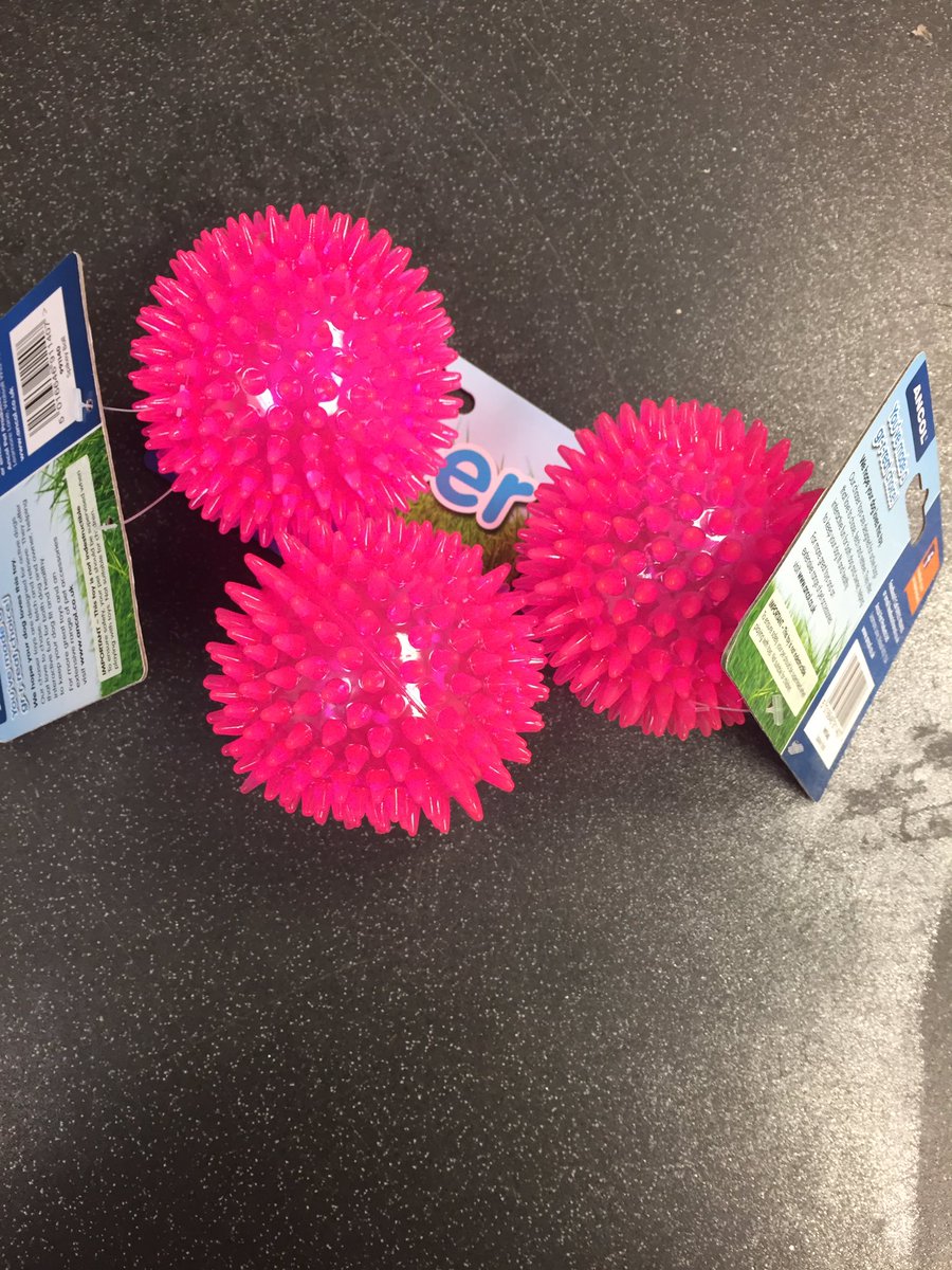 fundsrdr's tweet photo. Thank you for the balls ..... no name @CorynRDR 🐶 https://t.co/Q2Mk3aI7gC