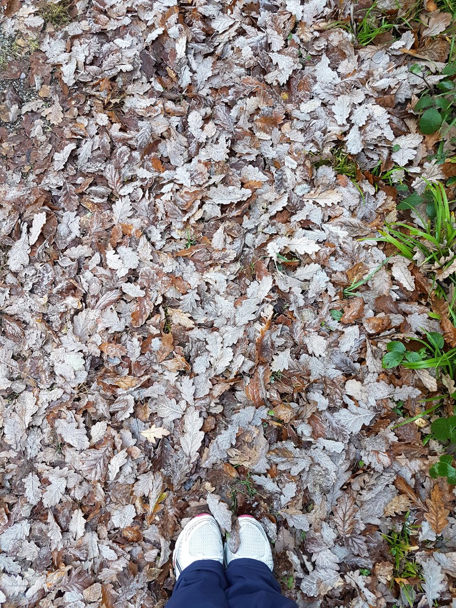 Glengarriff parkrun tweet media