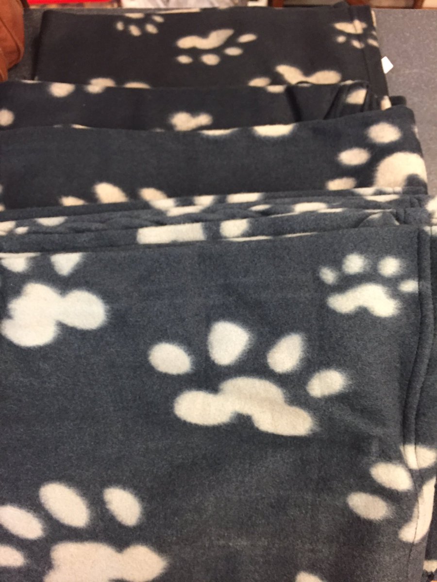 fundsrdr's tweet photo. Lots of cosy blankets ..... no name @CorynRDR 🐶 https://t.co/ew1SWZhb4h