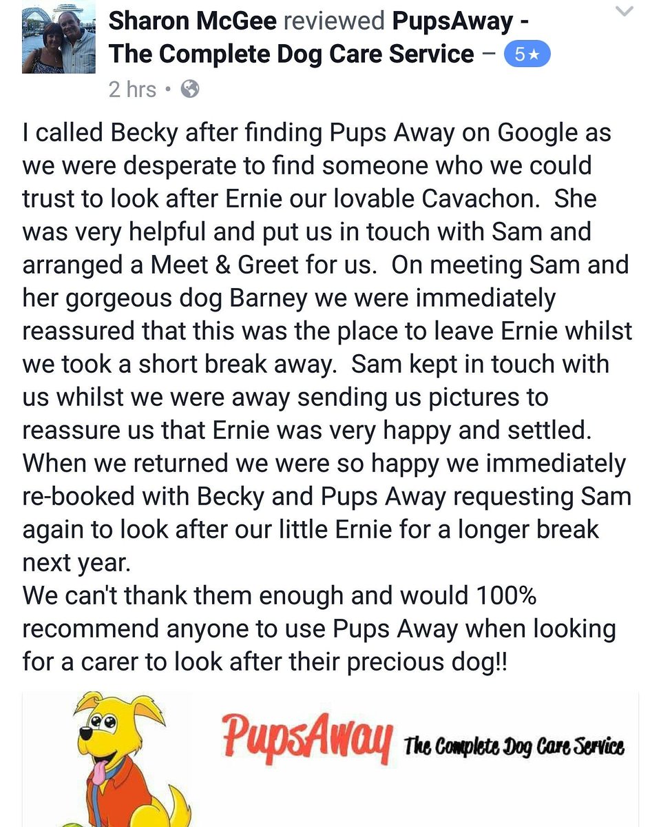 PupsAway's tweet photo. Love getting reviews like this 😊 https://t.co/ODTbdWHc0e