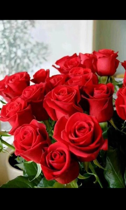 Ronydaa's tweet photo. لإيقاع حروفه تثمل النجوم
وتهتزالقلوب
لحضوره أهزوجة جنائن
نبارك للمتألق
#مهاب
 @mohaab333 
لفوزه بوسم #احببت_وهم��
#مبروك💕 https://t.co/aL4bAOEzNC