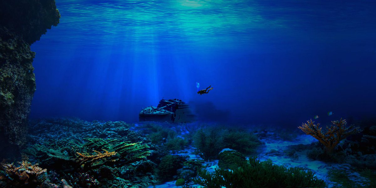 Divingio's tweet photo. Diving can become part of your travel experience. Learn more: 
#travel #diving #oceandivers https://t.co/7FI0cZz4Ty