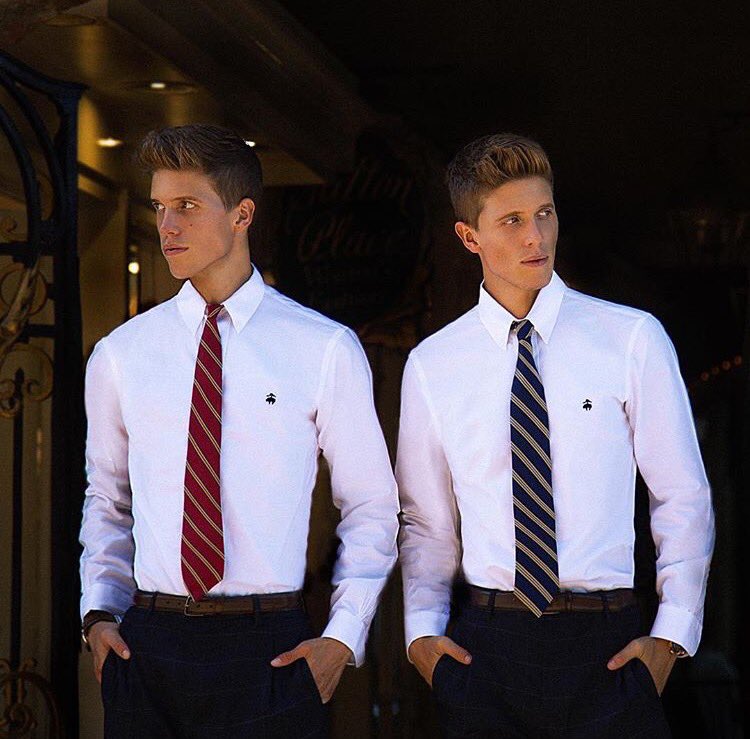 Aℓσнσмσяα Ƥяσмσ tweet media