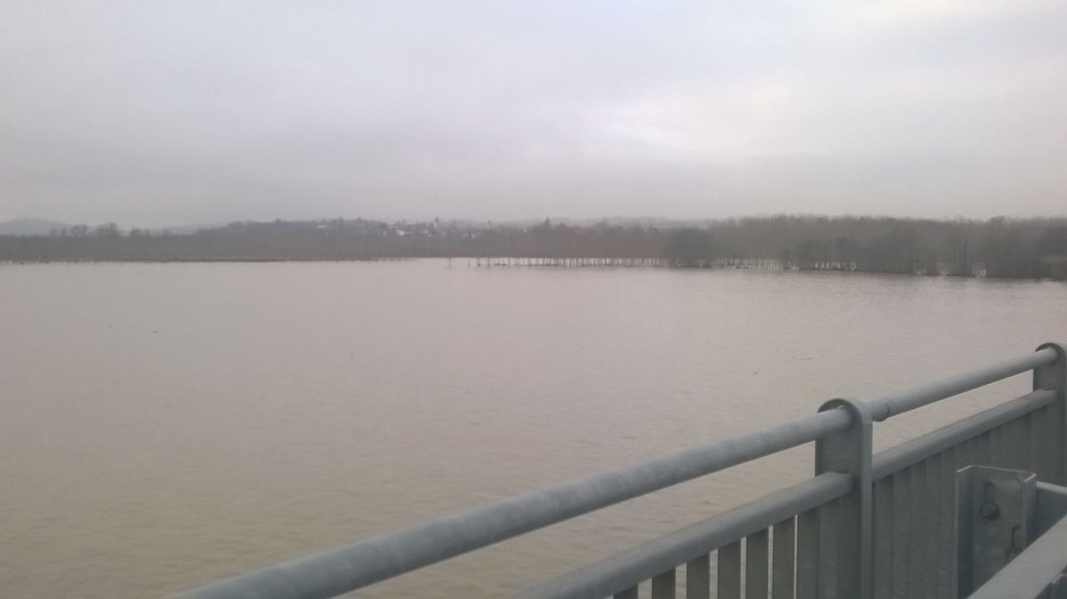 PCProvAL's tweet photo. #AllertaMeteoPIE
Il fiume #Tanaro a #Bassignana lungo la #SP78 (viadotto #Piovera) alle ore 9:15 del 26.11.2016
ph. #RdV #VG https://t.co/5IiRFmbzQj