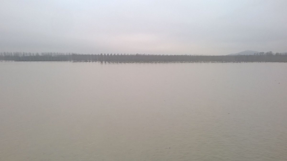 PCProvAL's tweet photo. #AllertaMeteoPIE
Il fiume #Tanaro a #Bassignana lungo la #SP78 (viadotto #Piovera) alle ore 9:15 del 26.11.2016
ph. #RdV #VG https://t.co/5IiRFmbzQj