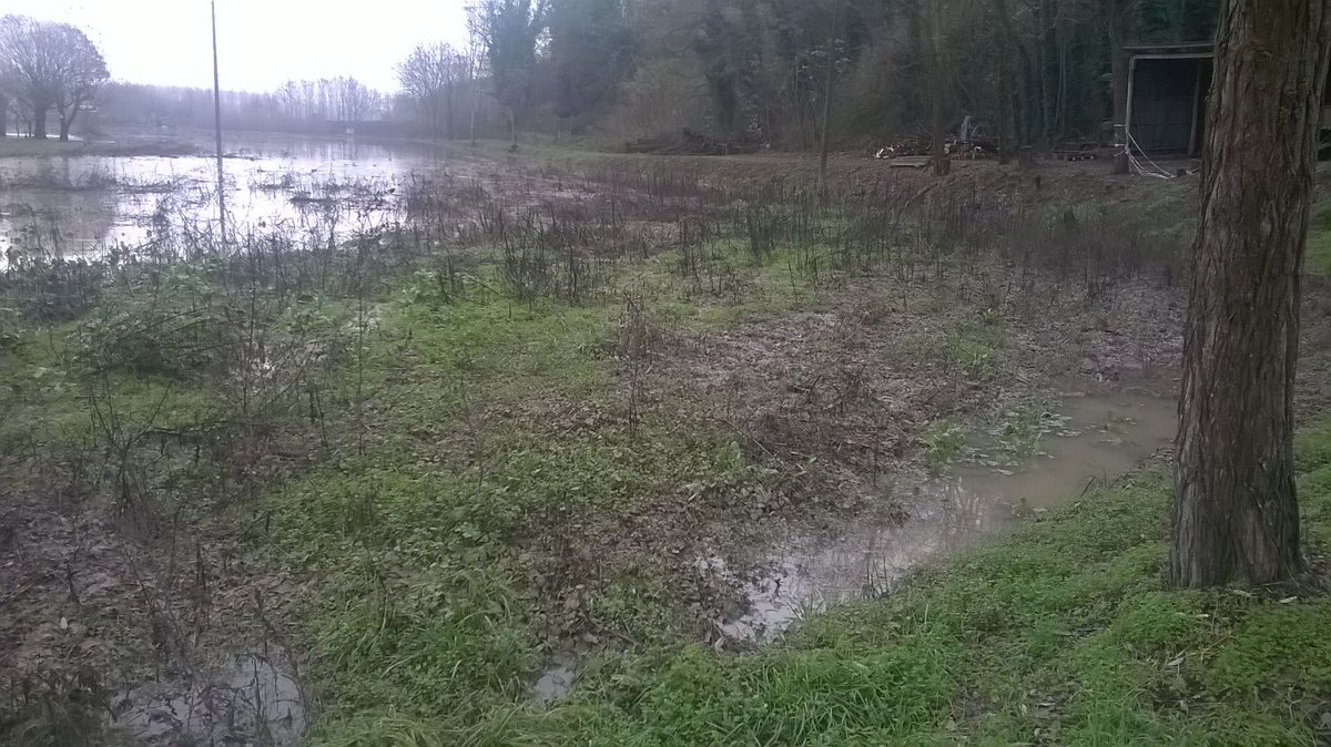 PCProvAL's tweet photo. #AllertaMeteoPIE
Il fiume #Tanaro a #Bassignana lungo la #SP78 alle ore 9:15 del 26.11.2016
ph. #RdV #VG https://t.co/H7m8wMcwDC