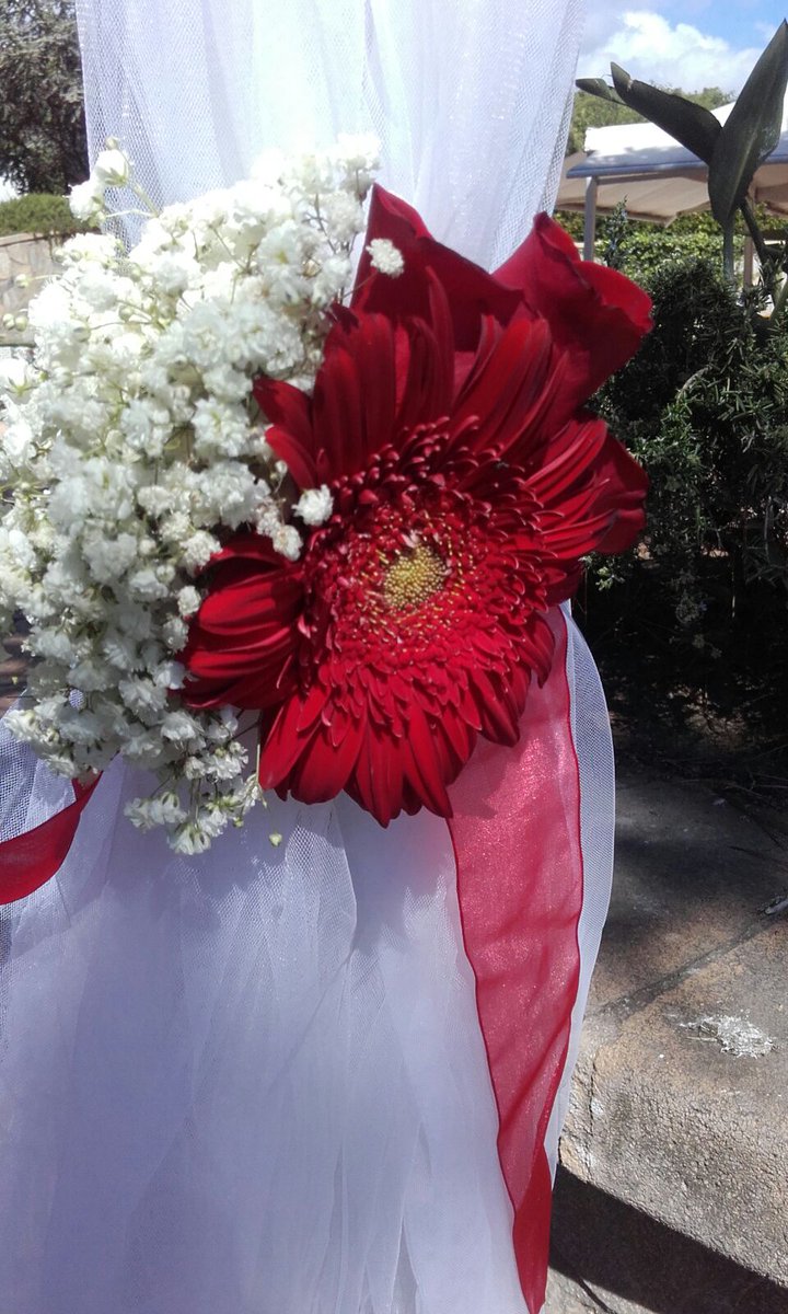 weddingmed's tweet photo. Dani &amp; Jessica (18 de Setiembre de 2016) https://t.co/FCrNqWJqoJ #FelizSabado https://t.co/ePX9Hj2Vmm
