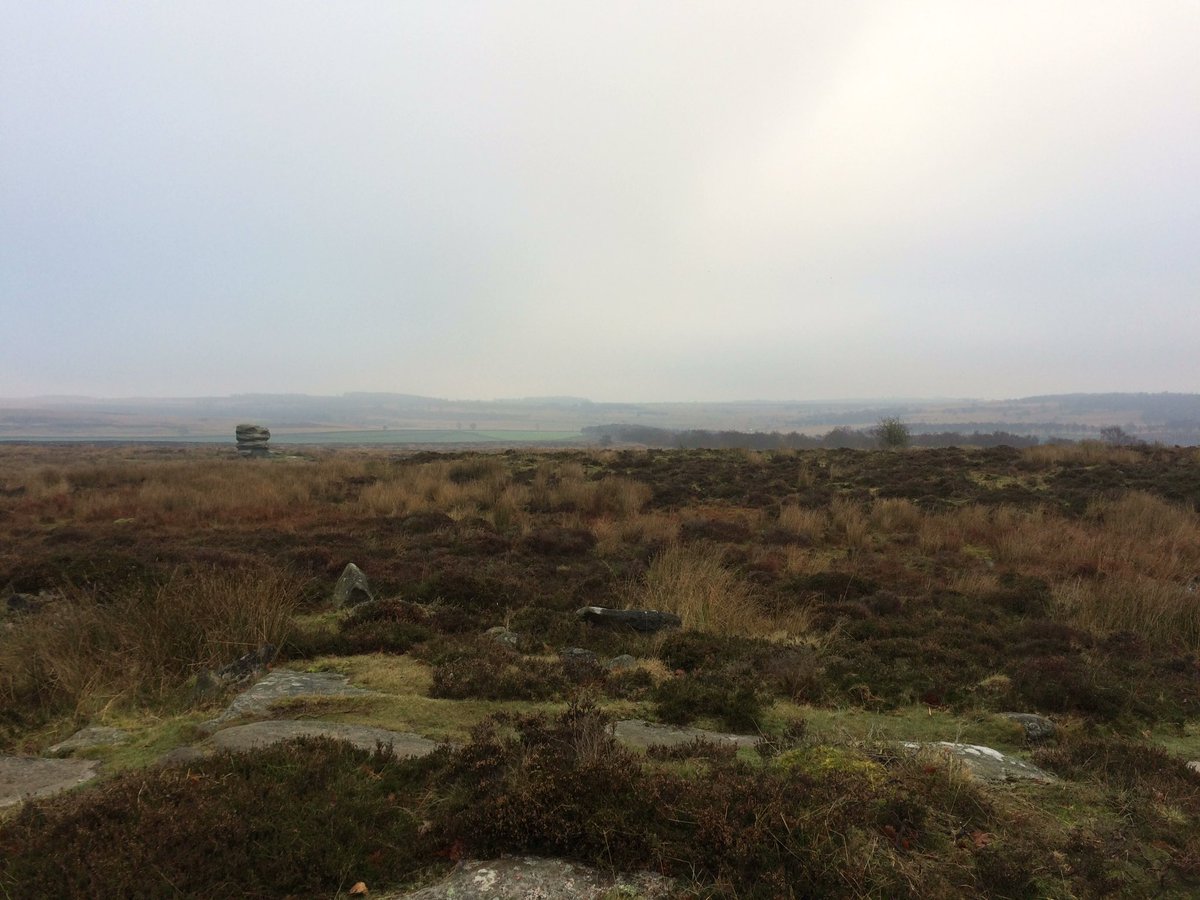 andyd0dd's tweet photo. @TheRealBerghaus but what a great standalone rock this is! https://t.co/7f3PLEShBk
