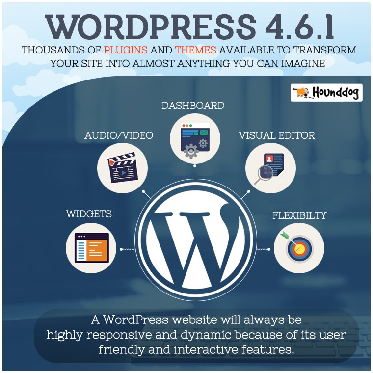 seohounddog's tweet photo. A #WordPress website will always be highly #responsive and #dynamic because of its #userfriendly and interactive features. https://t.co/yxXSjE7KBi