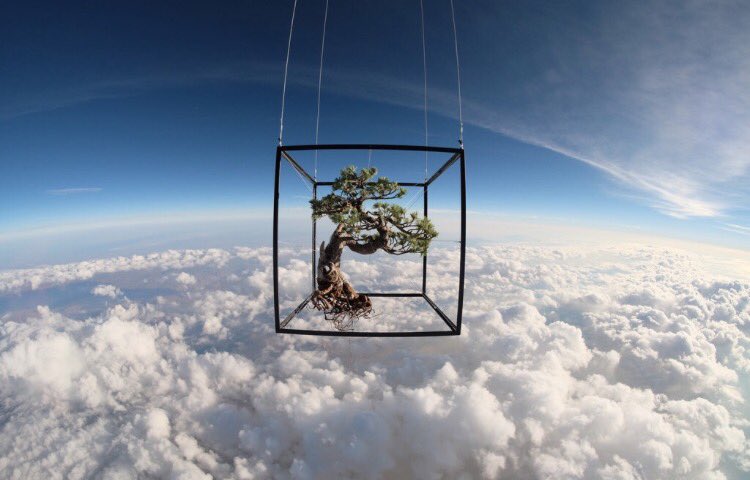 teaselsflowers's tweet photo. @nn01010 @BestGalaxyPics Did you see this? https://t.co/Nbc7m6tHX4 https://t.co/H2WhgkIyN9