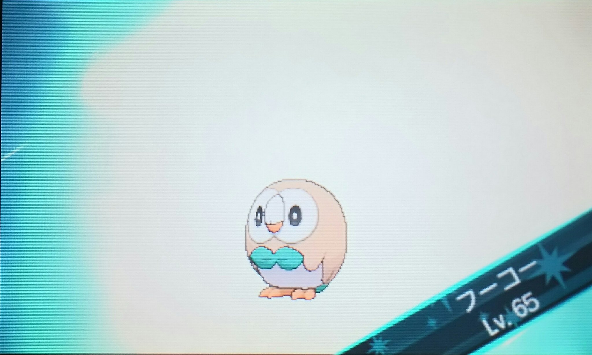 センジ やった やったよ ポケットモンスターサンムーン T Co Kvpohoo1l8 Twitter