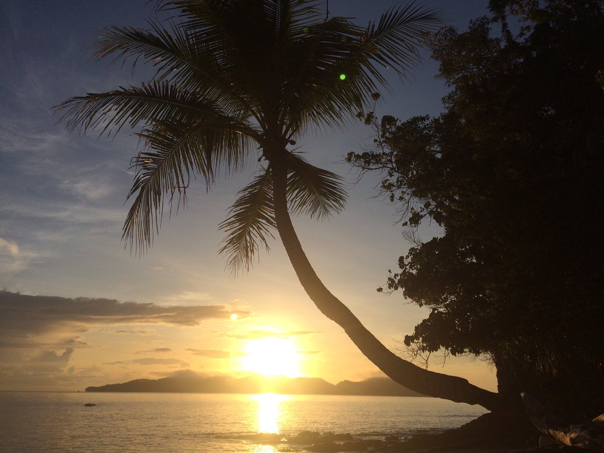 Mornings on the island!!!