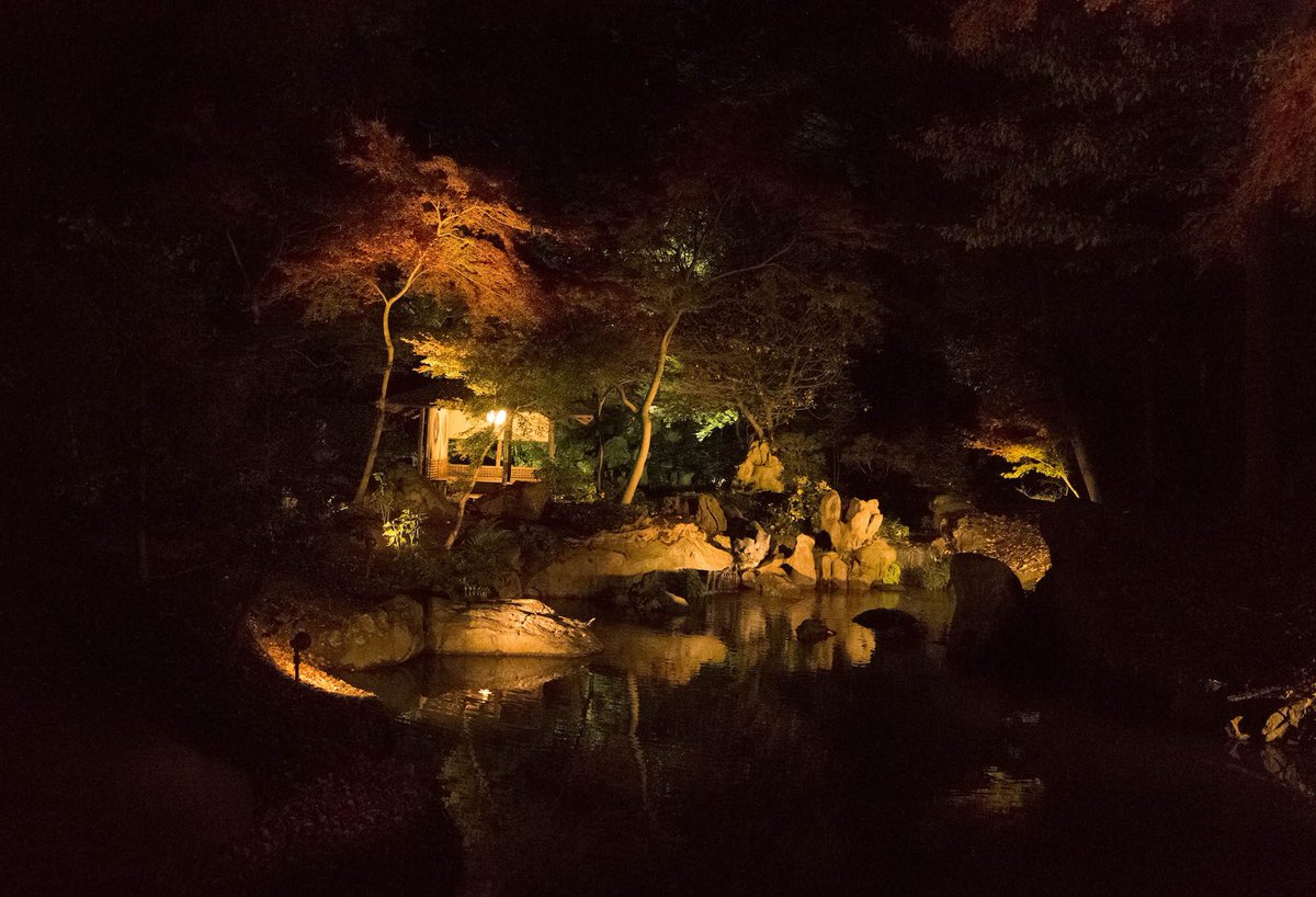 Andrew Scott Photog (@shadesofjp) on Twitter photo 