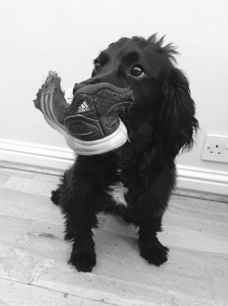 Crime scene...
Suspect...
Evidence...