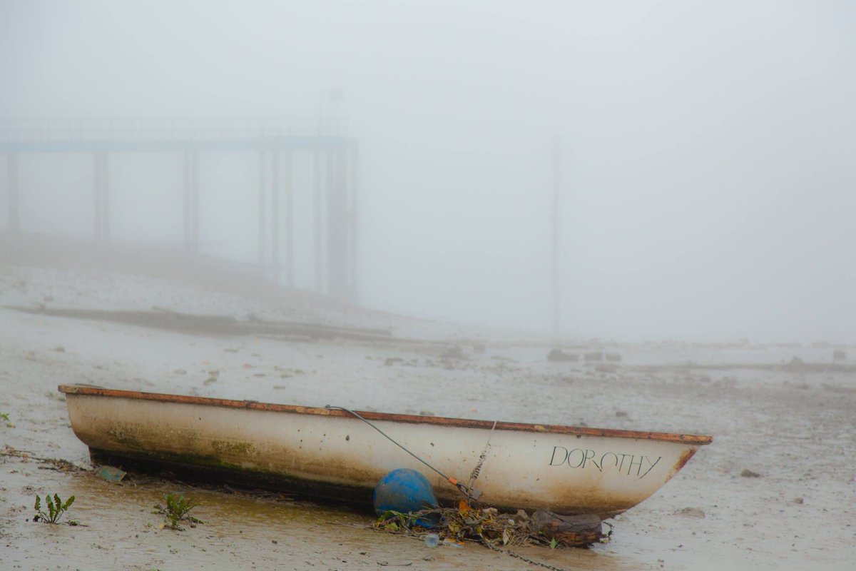 theparallaxview's tweet image. Strand on the Green, chiswick W4...