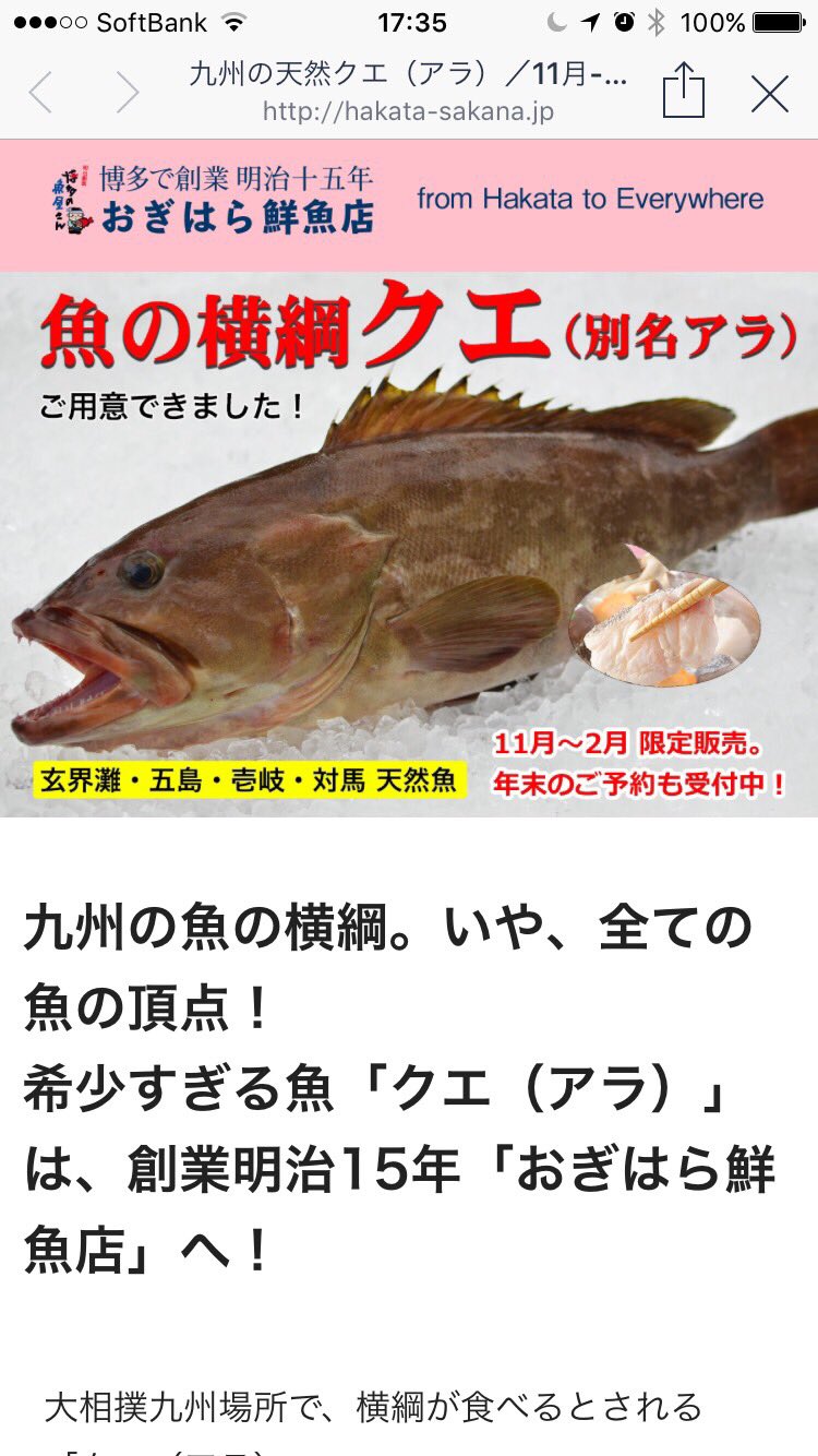 博多の魚屋さん おぎはら鮮魚店 ネットショップにクエ 本アラ が登場致しました 年末は高くなりますので是非今のうちに O T Co W7qzgmrmhn 本アラ アラ クエ 博多 おぎはら鮮魚店 幻の魚 刺身 鍋 相撲 五島 対馬 壱岐 鉄腕