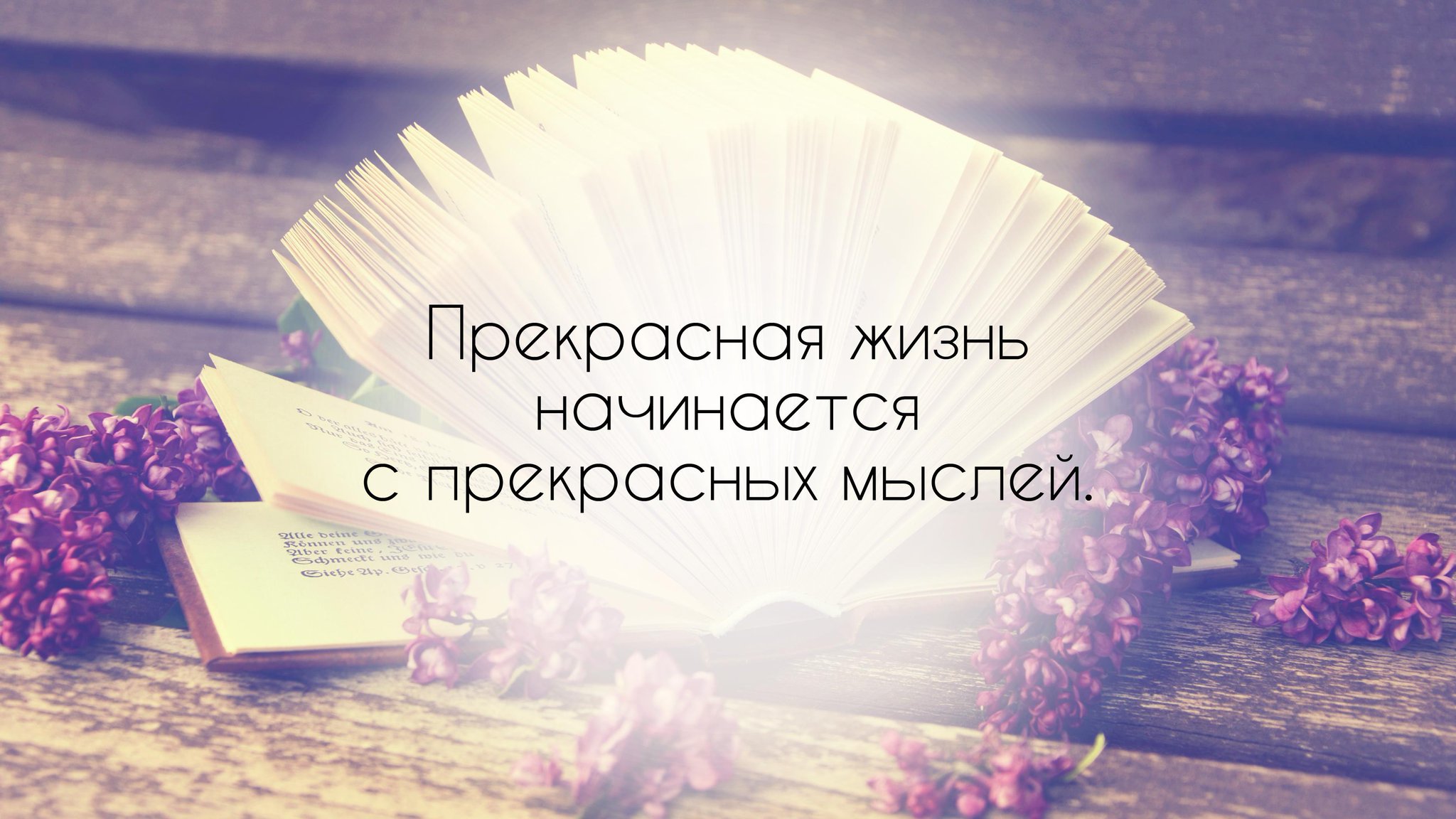 Картинка о новой жизни с надписями, целуются языком