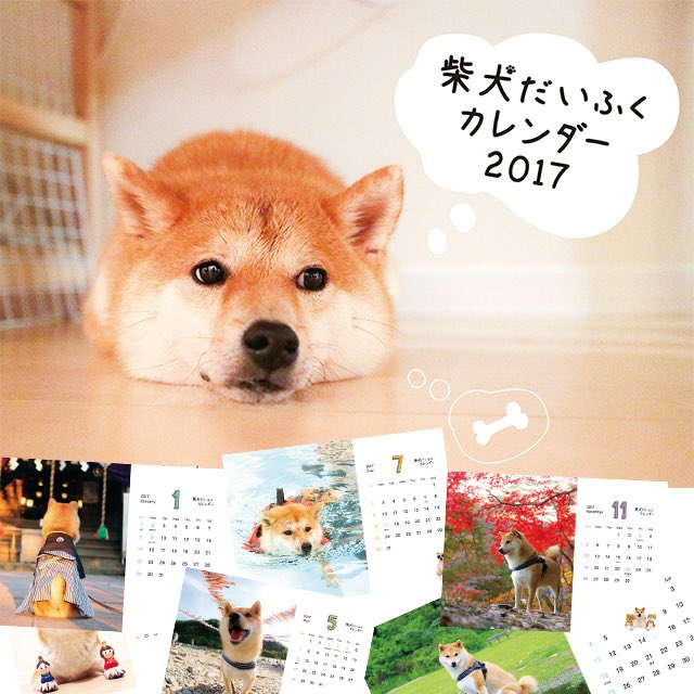 柴犬だいふく 17年 柴犬だいふく卓上カレンダー を用意したよー だいふくカレンダーが手に入るのは 柴犬雑貨 だいふく商店 だけだよ 詳しくはお店をのぞいて見てね お店のurlはプロフィールにあるよ カレンダー