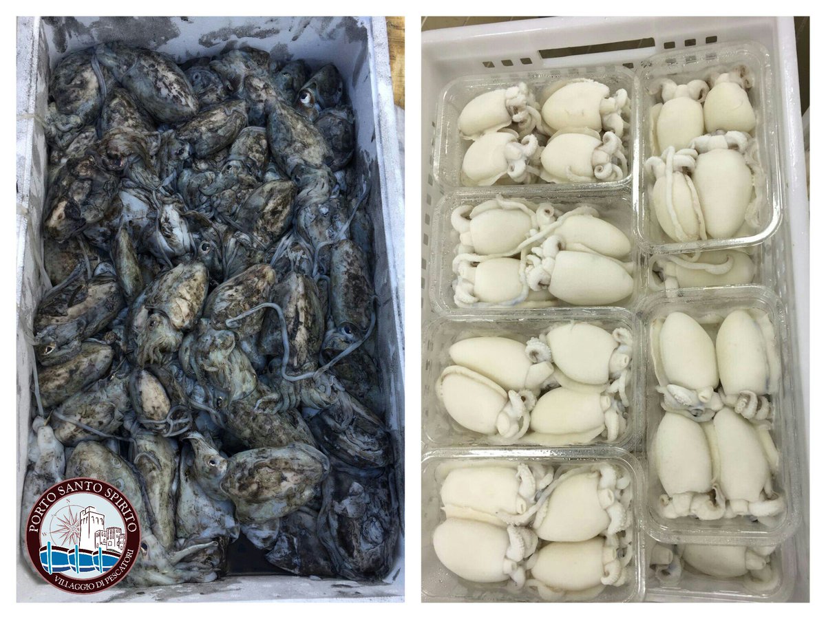 Seppioline alla pugliese prima e dopo la lavorazione #portosantospirito
