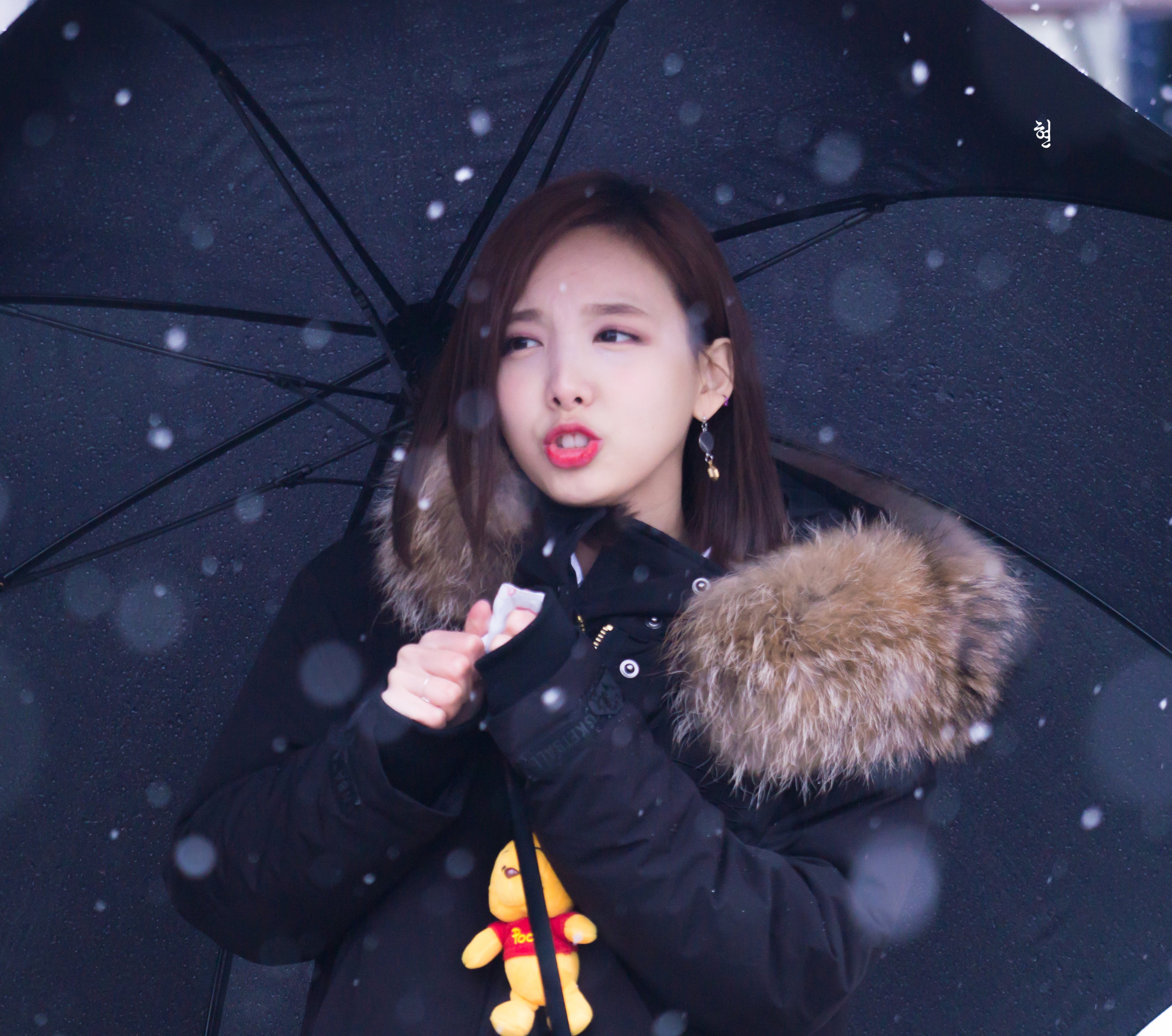 CyLdTmWVIAQ9PiK.jpg:orig