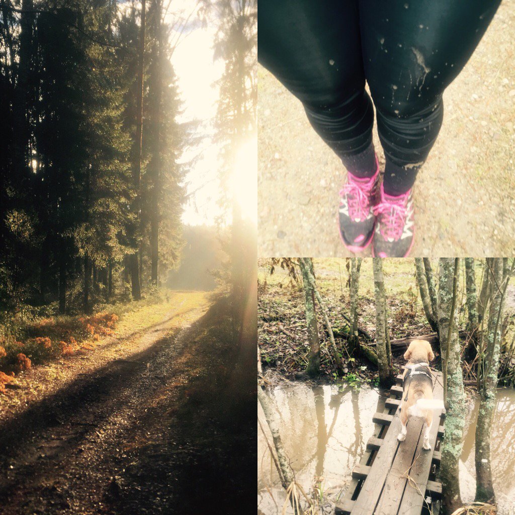Great morning for #trailrunning with my #beagle and <a href="/SarvaFinland/">Sarva</a> #xero shoes.