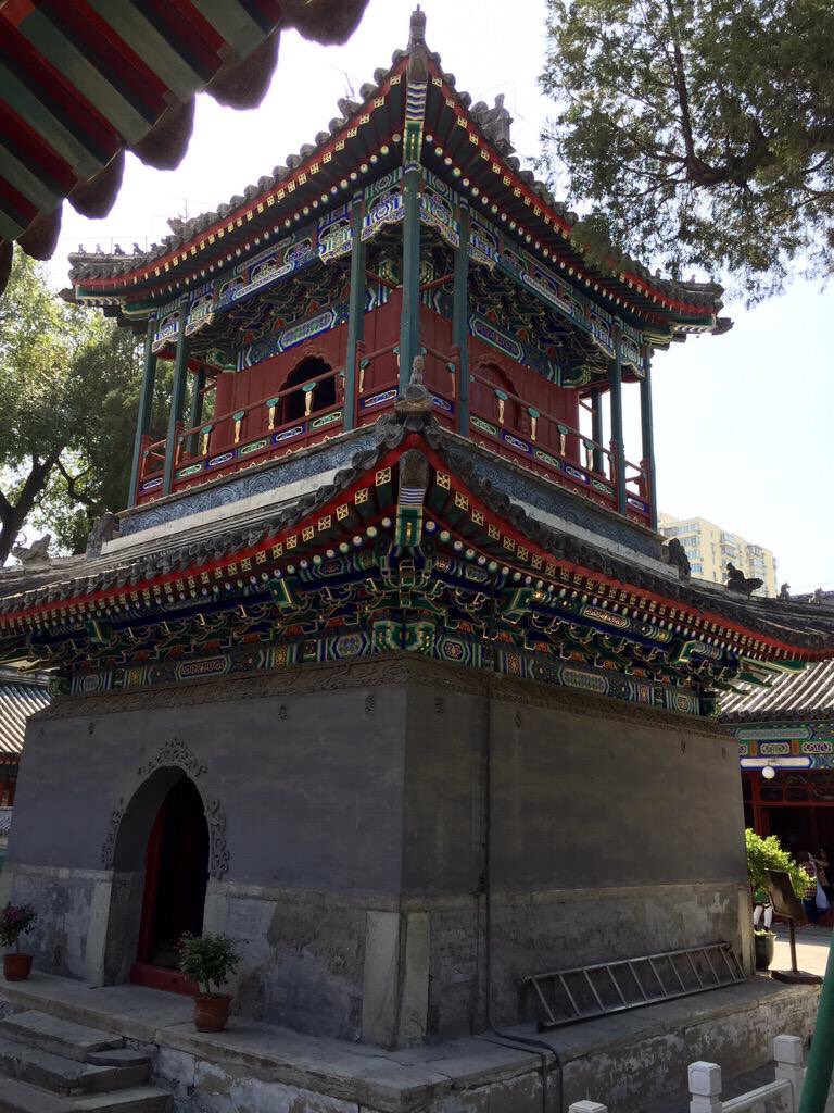 Lijian Zhao 赵立坚 tweet media