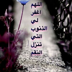 #محمد_صوت_الانسانيه