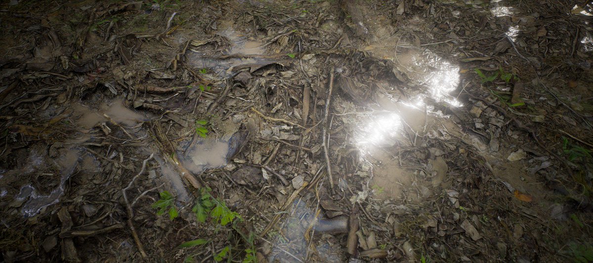 MindGames_Int's tweet image. By popular requested we created a breakdown on our landscape material!
sanethegame.net/2016/11/26/lan…
@UnrealAlexander @UnrealEngine #UE4 #gamedev