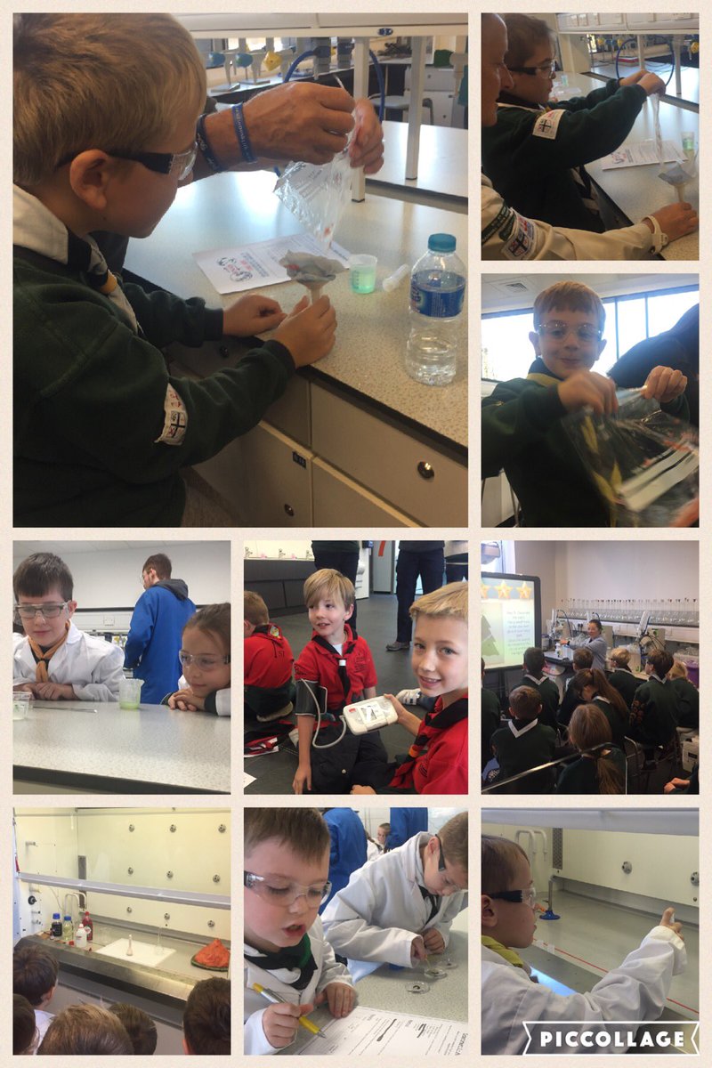 MerseysideScout's tweet photo. Lots of Cubs today learning about science at Liverpool University science jamboree #scijamliv https://t.co/IyE1nsYm80